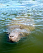 Old Town Sportsman Kayak